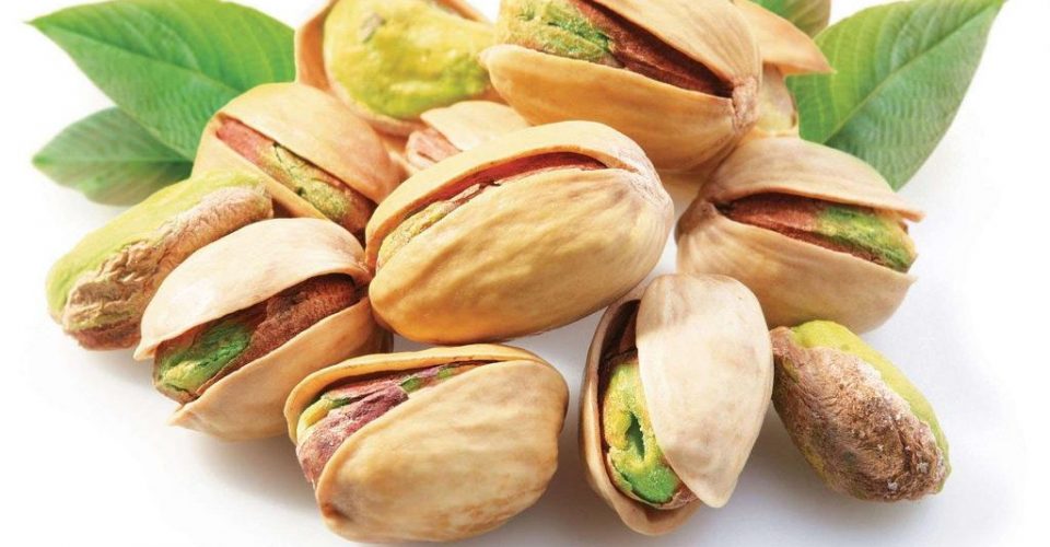 فروش پسته ایران