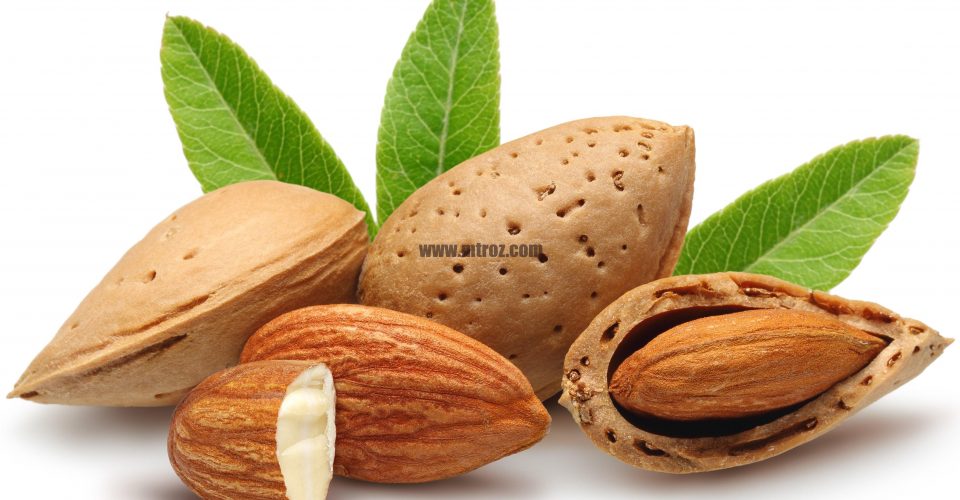 فروش بادام لاتامارکو ترکیه