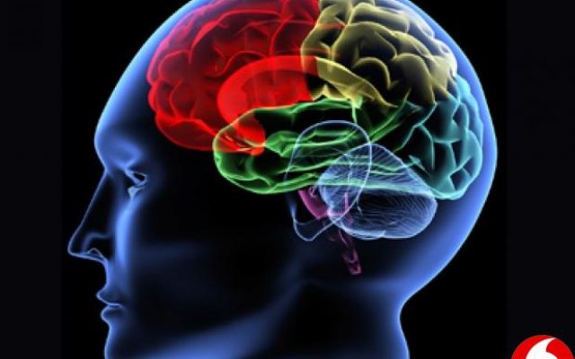 ده  عامل سکته مغزی در جهان