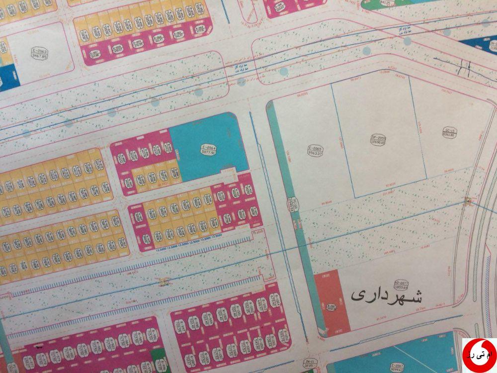 تی رز (7)
