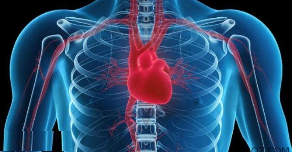 شانه درد را جدی بگیریم / خطر حمله قلبی