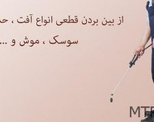 سمپاشی ساس