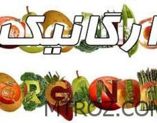 لذت خوراک سالم را با محصولات غذایی ارگانیک در تبریز احساس کنید