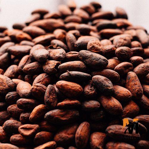 واردات پودر کاکائو اس 9 لاتامارکو با قیمت بسیار مناسب
