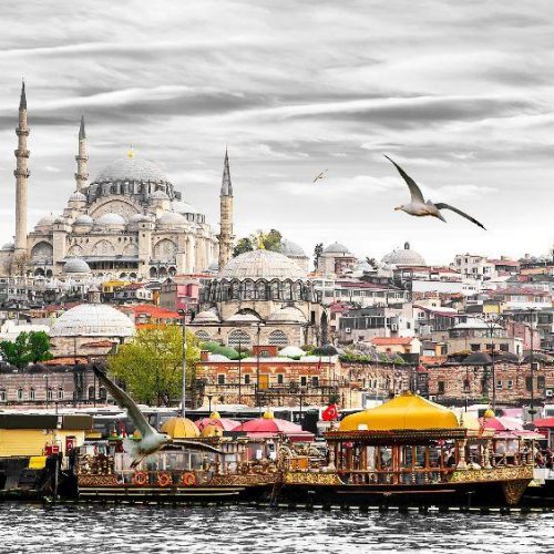 استخدام بازاریاب در استانبول آقا و خانم