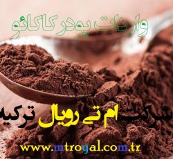 استخدام سئو كار در استانبول