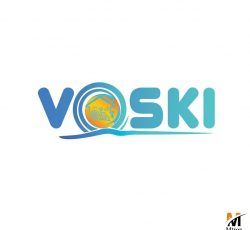 شرکت دقیق پروژه VOSKI