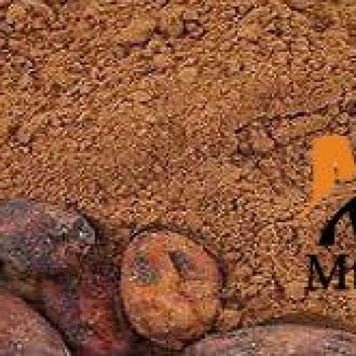 تأمین ، فروش پودر کاکائو