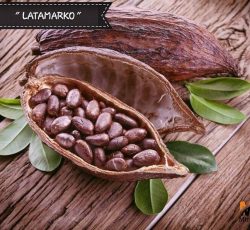 قیمت پودر کاکائو لاتامارکو latamarko