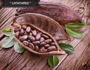 قیمت پودر کاکائو لاتامارکو latamarko