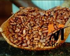 واردات مستقیم پودر کاکائو نچرال و الکالایز محصول لاتامارکو