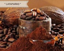 فروش پودر کاکائو بنسدروپ عمده و جزئی
