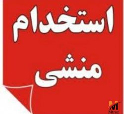 استخدام منشی خانم در شرکت بازرگانی در استانبول