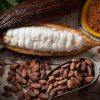 قیمت پودر کاکائو کیلویی لاتامارکو