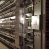 تجهیز سالنهای مرغداری با مدرن ترین قفس های پرورش مرغ تخمگذار و گوشتی و پولت