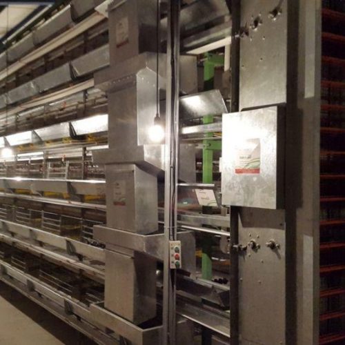 تجهیز سالنهای مرغداری با مدرن ترین قفس های پرورش مرغ تخمگذار و گوشتی و پولت