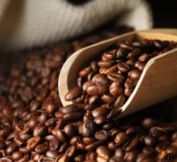 واردات مستقیم قهوه ترک و اسپرسو از ترکیه