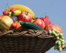 تولید انواع گلدانها و مجسمه های فایبر گلاس
