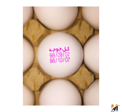 چاپ تاریخ روی تخم مرغ – جت پرینتر تخم مرغ(پرینتر-صنعتی-تخم مرغی)