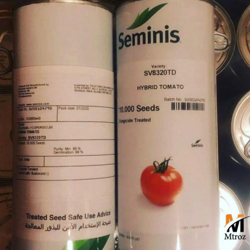 توزیع و فروش بذر گوجه فرنگی هیبرید 8320 سمینیس