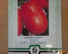 توزیع و فروش بذر گوجه فرنگی پرمحصول لئوناردو