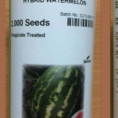 توزیع و فروش بذر هندوانه کریمسون