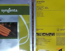 توزیع و فروش بذر هویج دوردوگنه سینجنتا