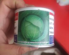 توزیع و فروش بذر کلم پیچ گرین کورنت تاکی ژاپن