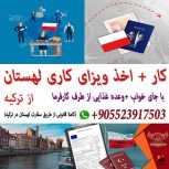 ویزای کاری لهستان