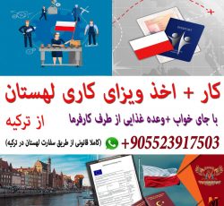 ویزای کاری لهستان